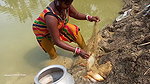 Amazing Village Women Net fishing   Mouni catching