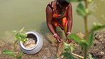Amazing Village Women Net fishing   Mouni catching