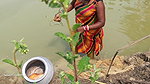 Amazing Village Women Net fishing   Mouni catching
