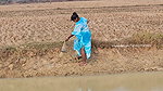 Amazing Village Women Net Fishing    Mouni Fishing