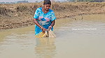 Amazing Village Women Net Fishing    Mouni Fishing