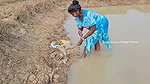 Amazing Village Women Net Fishing    Mouni Fishing