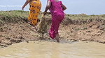 Amazing Village Women New Mud Water Fishing video