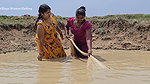 Amazing Village Women New Mud Water Fishing video
