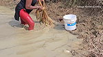 Amazing Village Women New Net fishing video    Mou