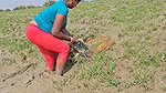 Amazing Village Women New Shore Fishing video    M