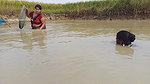 Amazing Village Women Traditional Hand Fishing   B