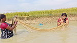 Amazing Village Women Traditional Hand Fishing   B