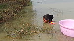 Amazing Village Women Traditional Hand fishing   M