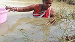 Amazing Village Women Traditional Hand fishing   M