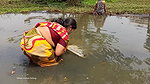 Amazing Village Women traditional hand fishing