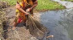 Amazing Village Women traditional hand fishing
