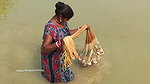 Amazing Village Women Traditional Net Fishing   Vi
