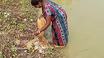 Amazing Village Women Traditional Net Fishing   Vi