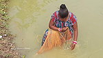 Amazing Village Women Traditional Net Fishing   Vi