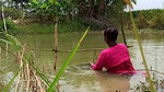 Amazing Village Women Trap Fishing   Incredible La