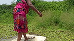 Amazing Village Women Trident fishing   Mouni fish