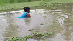 Amazing Village women unique fishing   Tilapia fis
