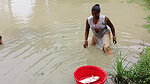 Amazing Village women Unique Fishing    Mouni fish