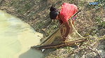 Amazing Woman Fishing Part – II   Village Women fi