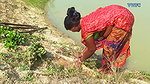 Amazing Woman Fishing Part – II   Village Women fi
