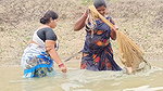Amazing গ্রামের বৌদি আশ্চর্যজনক জাল মাছ ধরার ভিডিও