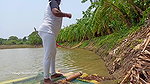 Arrow fishing by village women part-2   Mouni Arro