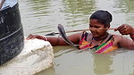 Arrow Fishing by Village women   Mouni Fishing wit