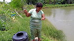 Beautiful Village Woman Net fishing in Pond    vil