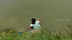 Beautiful Village Woman Net fishing in Pond    vil