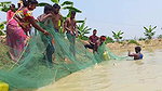 Best Fishing Video    Traditional fishing in Villa