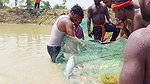 Best Fishing Video    Traditional fishing in Villa