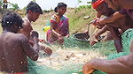 Best Fishing Video    Traditional fishing in Villa