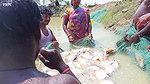 Best Fishing Video    Traditional fishing in Villa