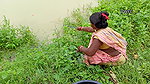 Best Hook Fishing by Village Women   আজ মৌনি হুক ম