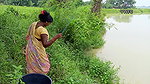 Best Hook Fishing by Village Women   আজ মৌনি হুক ম