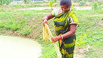 Best Net Fishing in Village    Village women fishi