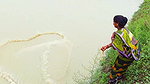 Best Net Fishing in Village    Village women fishi
