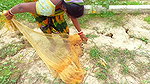 Best Net Fishing in Village    Village women fishi