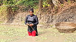 Best Village Women amazing Net Fishing for Carp Fi