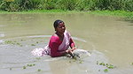 Best women net fishing video in village pond