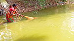 x Cast Net Fishing By Village Women    Best Village