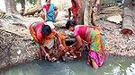 x Cast Net Fishing By Village Women    Best Village