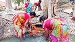 x Cast Net Fishing By Village Women    Best Village