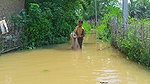 CAST NET FISHING BY WOMEN IN FLOOD WATER    NET FI