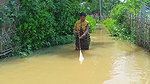 CAST NET FISHING BY WOMEN IN FLOOD WATER    NET FI