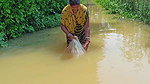 CAST NET FISHING BY WOMEN IN FLOOD WATER    NET FI