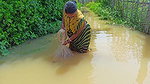 CAST NET FISHING BY WOMEN IN FLOOD WATER    NET FI