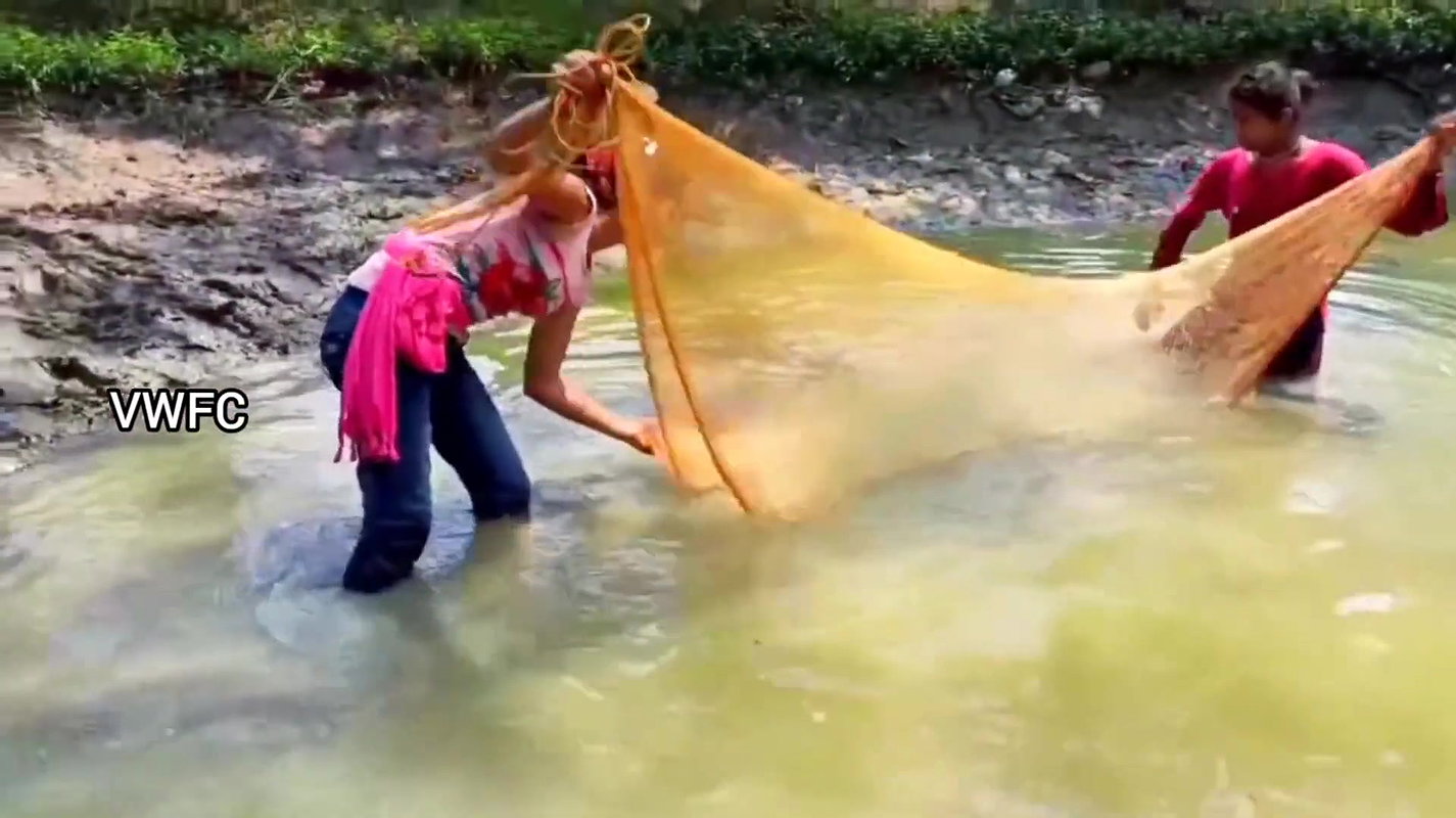 Cast Net Fishing    Best Fishing Video