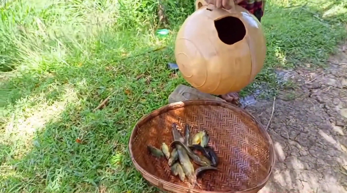 How to catch fish with Money Saving Ball    Villag